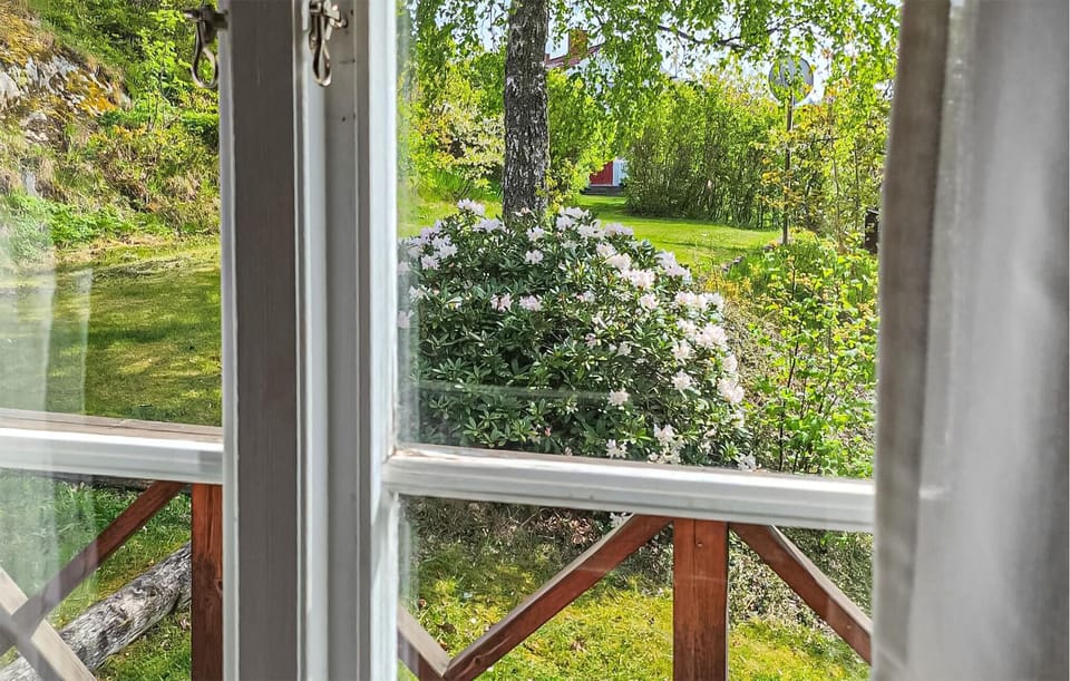 view-from-room