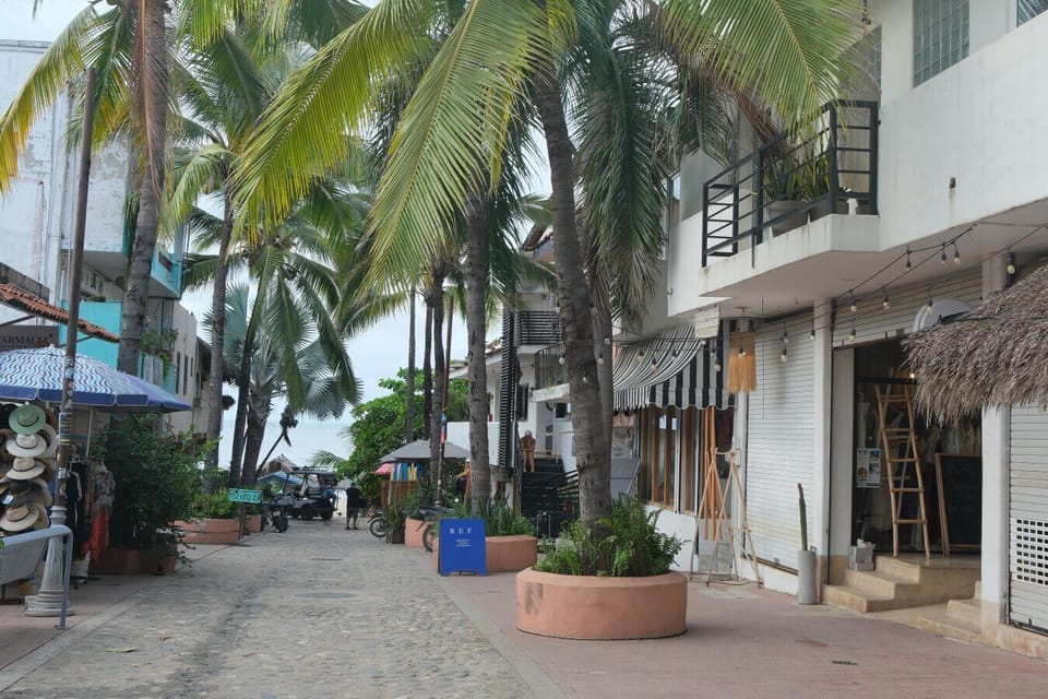 Enter the land of palm tree lined streets