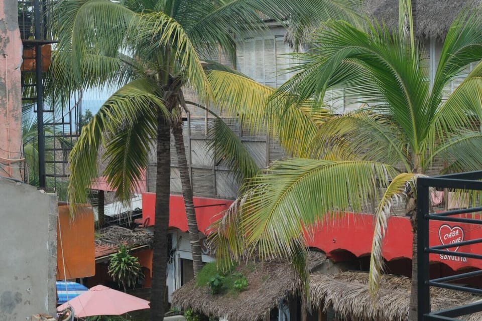 Welcome to the land of palm-lined streets