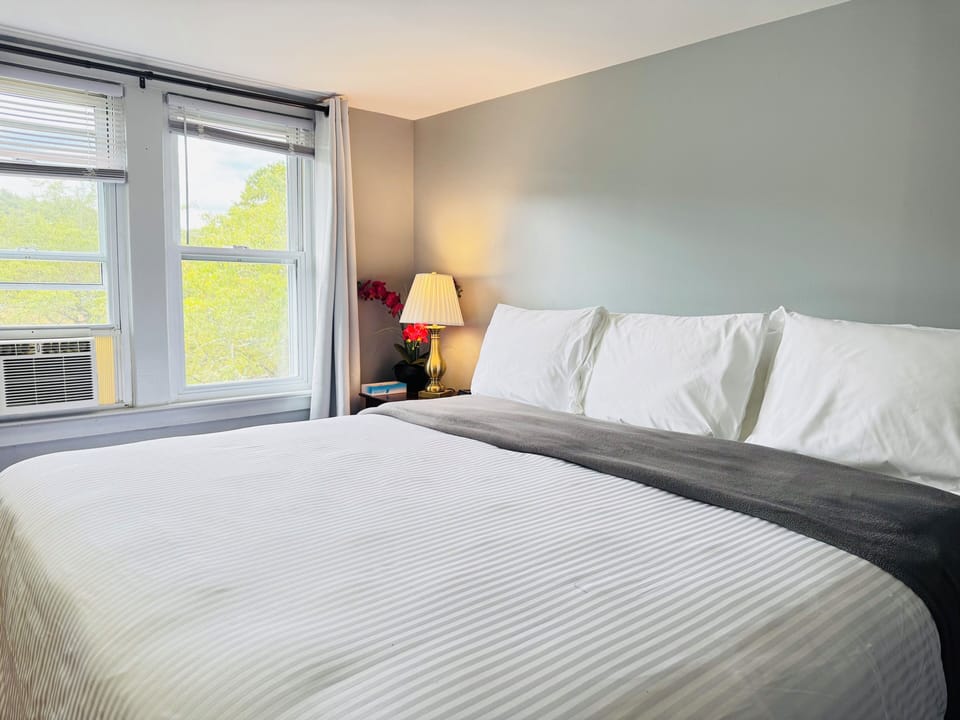 Room, 1 King Bed | Iron/ironing board, WiFi (free)