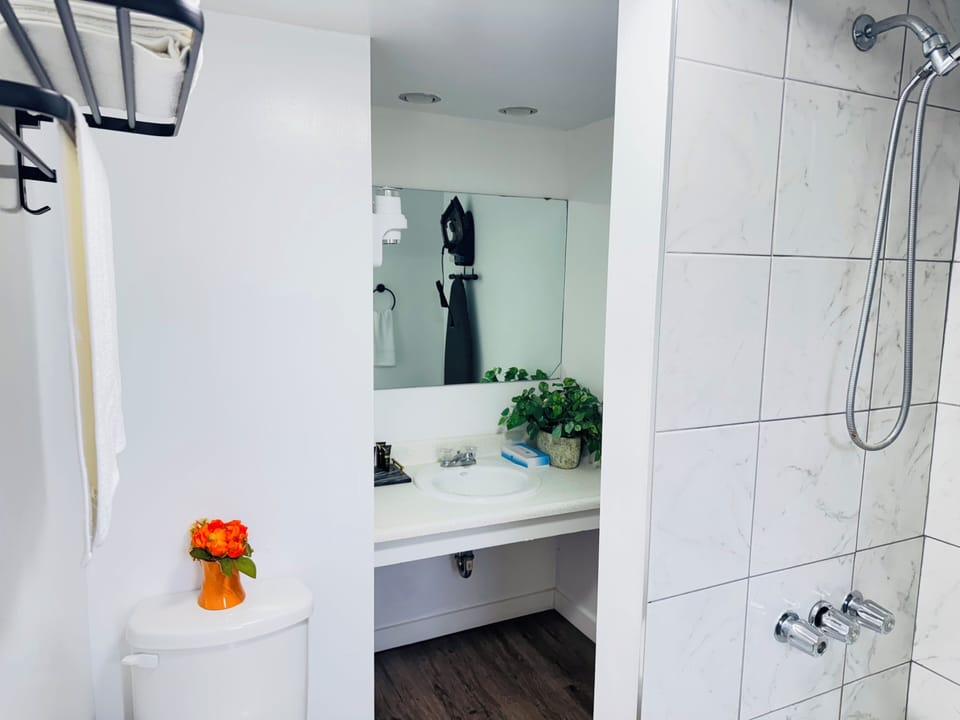 Room, 1 King Bed | Bathroom | Combined shower/tub, towels, soap, shampoo