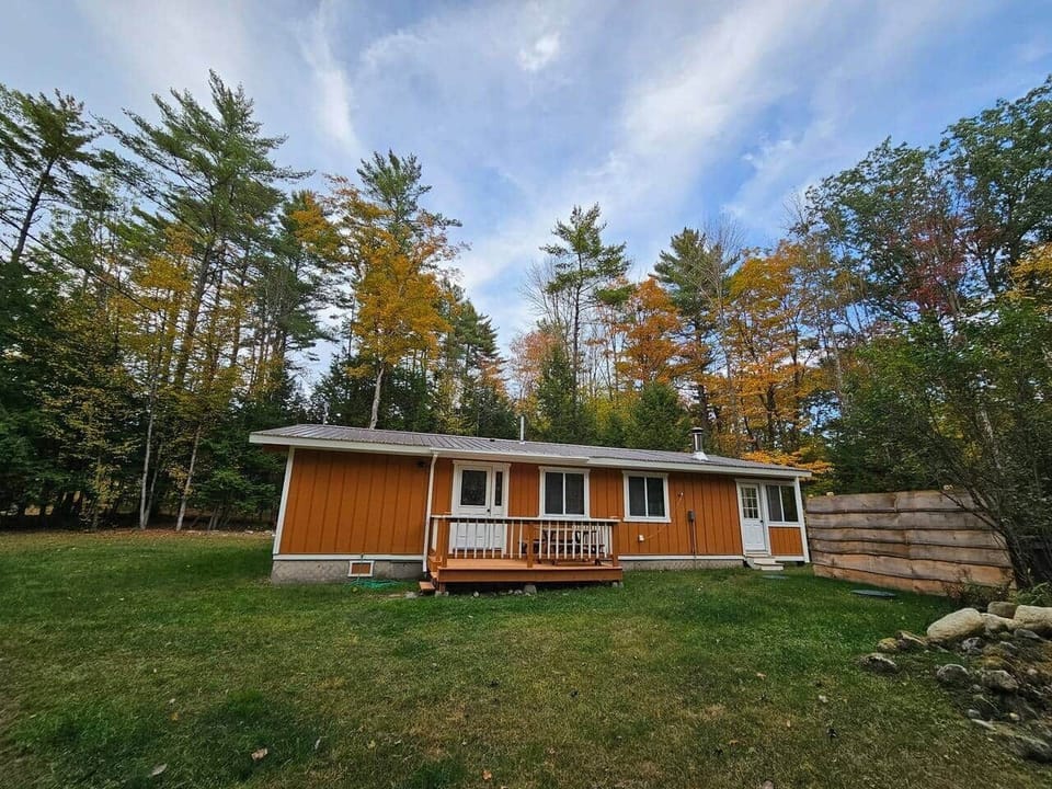 Charming cabin with porch and private yard, nestled in the forest with vibrant fall colors—perfect retreat for nature lovers.