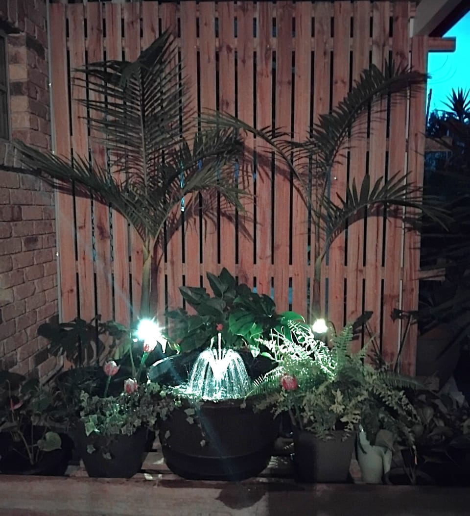 Your own oasis