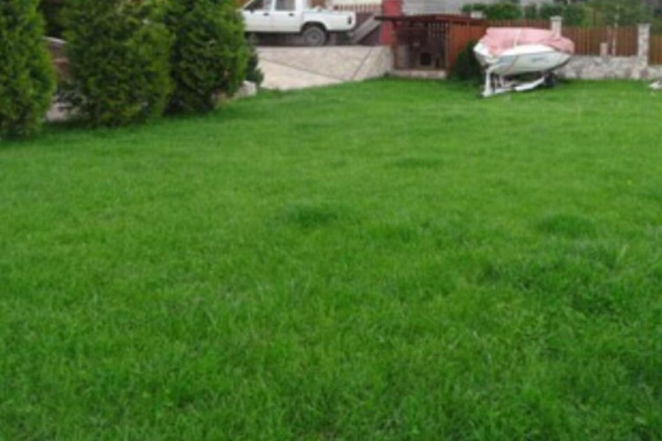 Garden [summer]