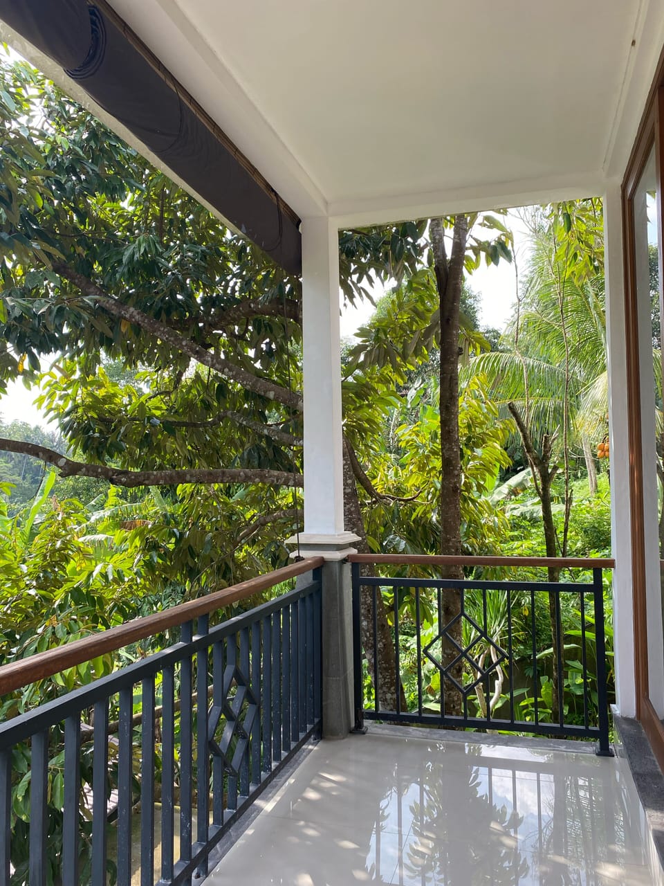 Balcony view
