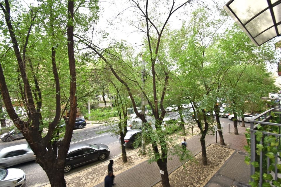 Basic Apartment, Balcony, Park View | Balcony view