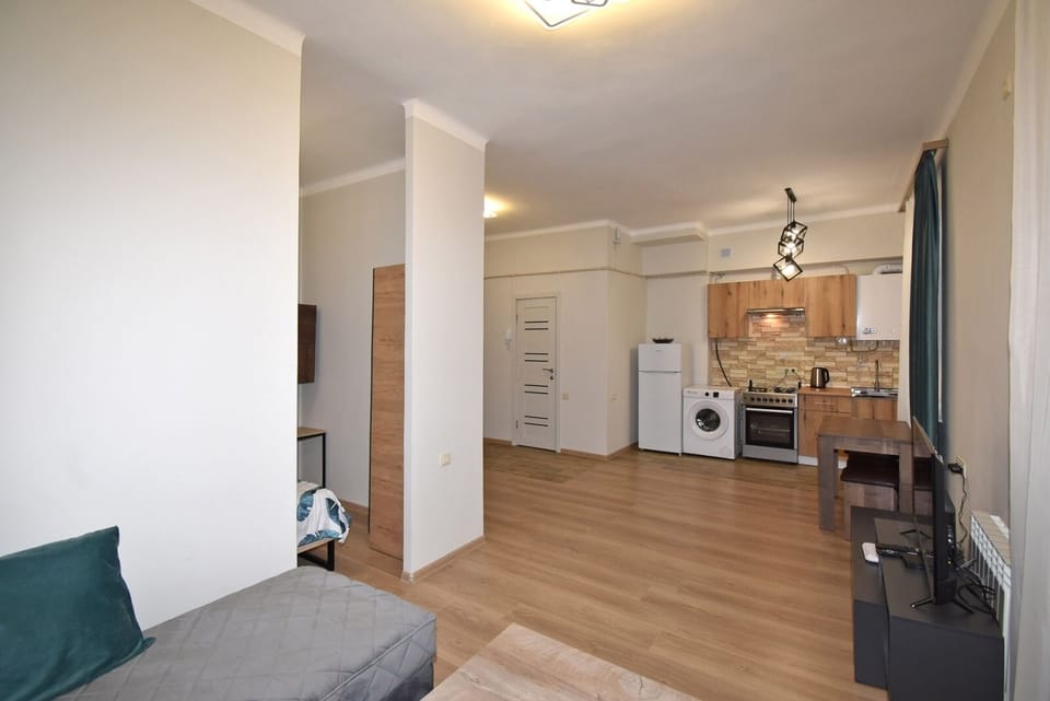 Basic Apartment, Balcony, Park View | Living area | 50-inch flat-screen TV with cable channels