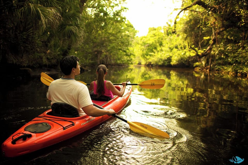 Explore the Great Calusa Blueway - a nearly 200-mile marked canoe and kayak trail that meanders through the coastal back bay waters and inland tributaries.