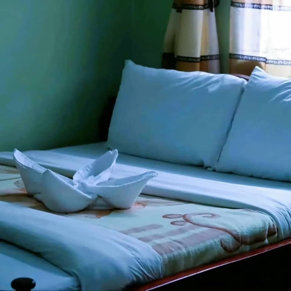Iron/ironing board, free WiFi