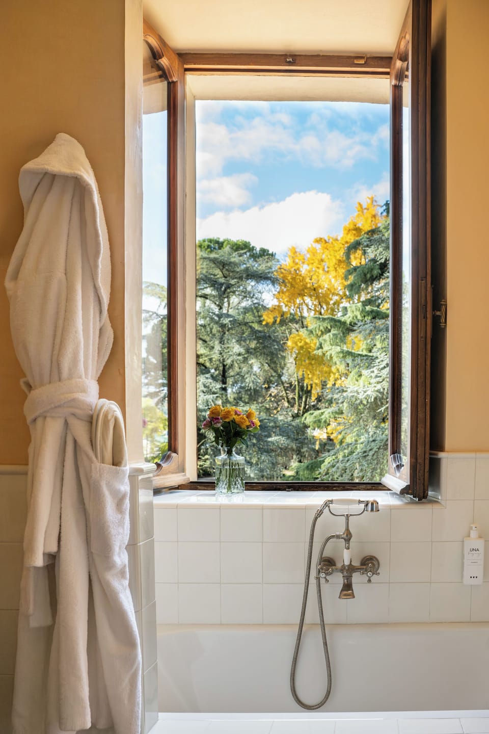 Combined shower/tub, free toiletries, hair dryer, bathrobes