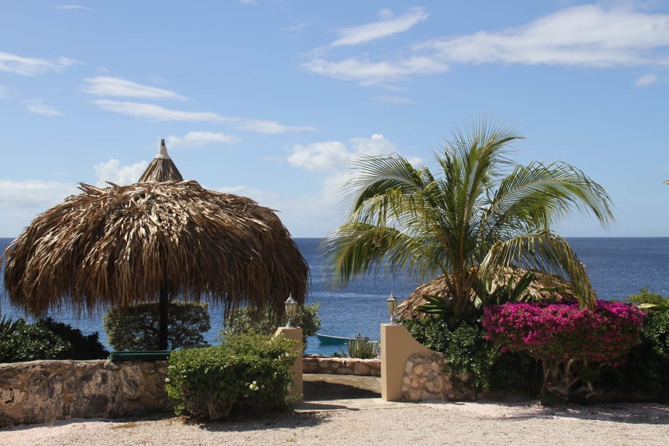 View from porch