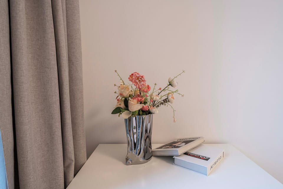 Superior Apartment, 1 Bedroom, Kitchen, City View | Free WiFi
