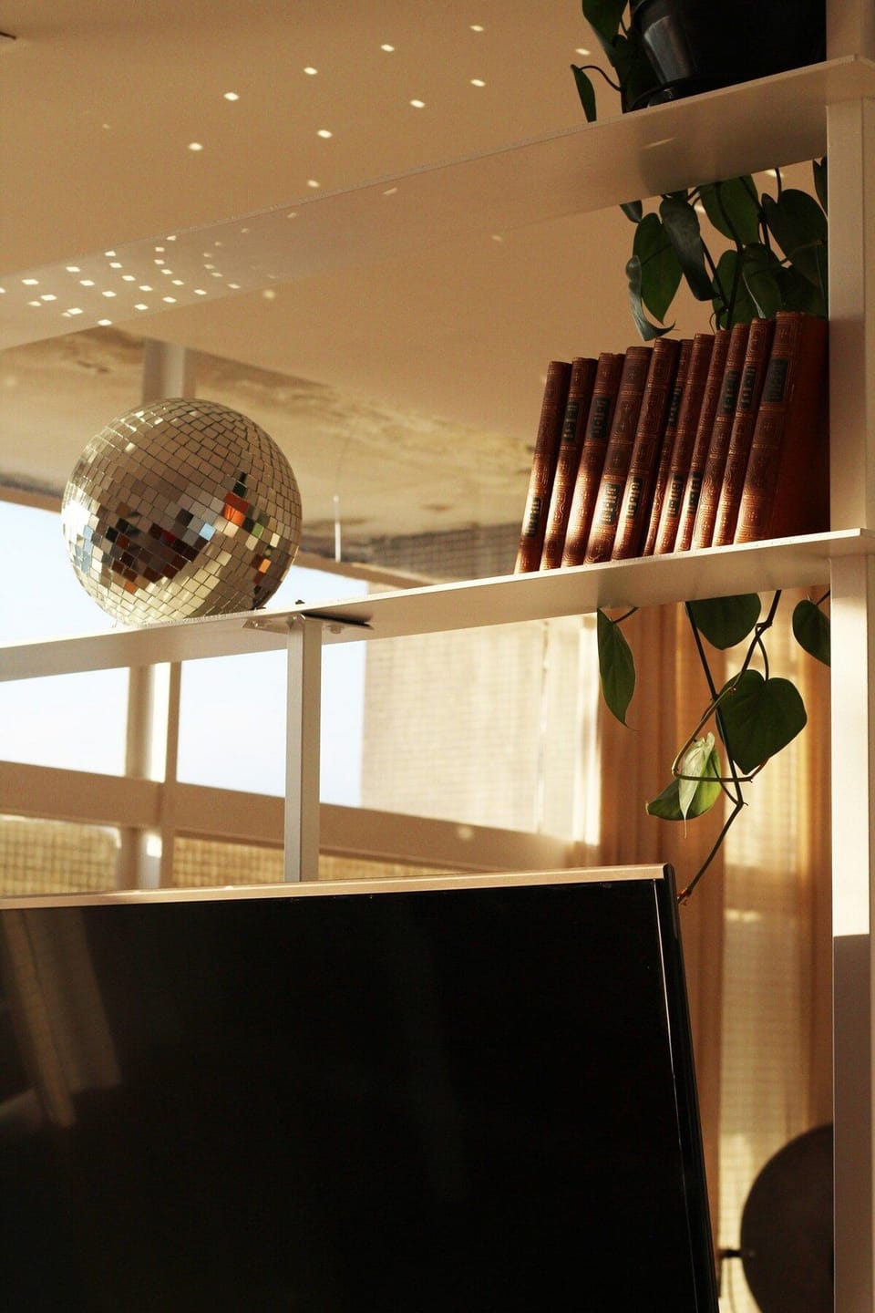 Television