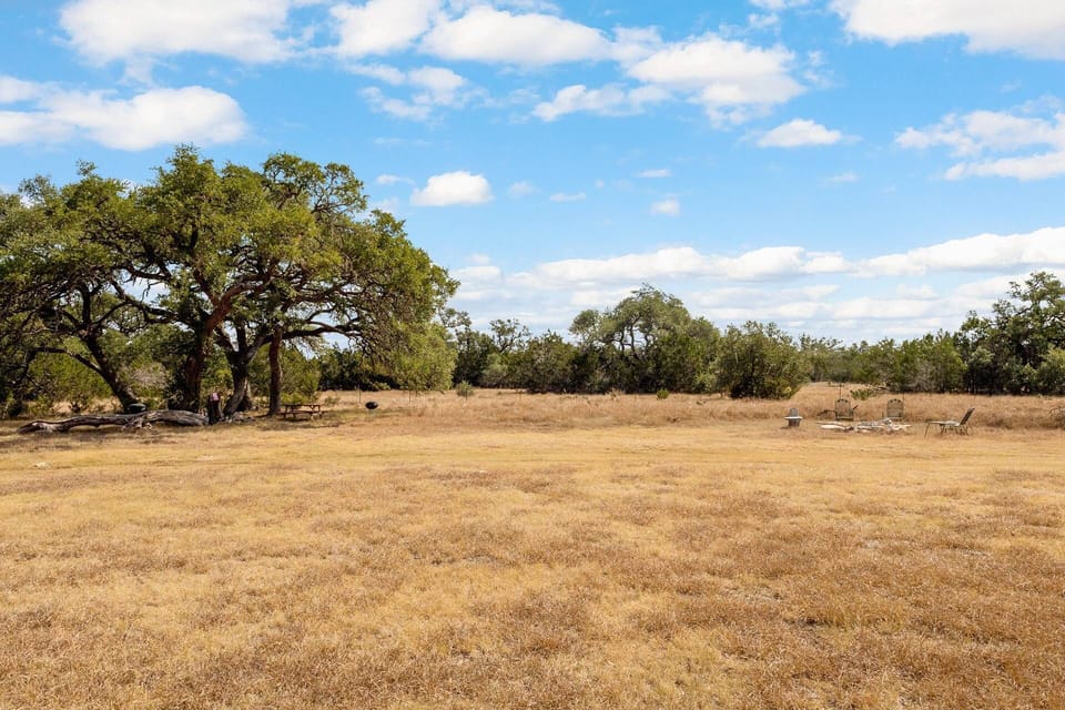 Enjoy open land with scenic tree views and plenty of space for your dogs to roam.