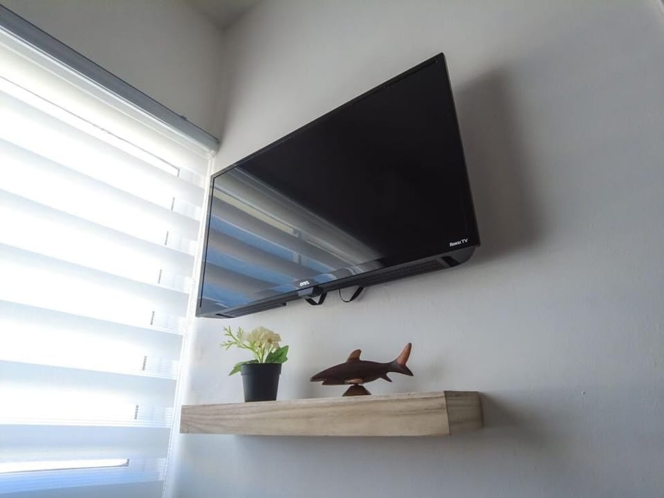 Television
