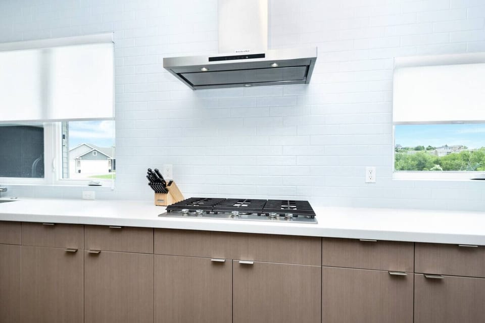 Gas Stove with Hood