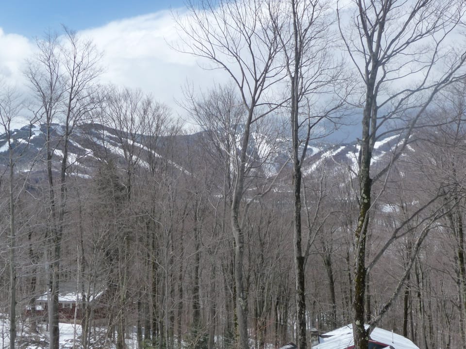 Bare trees open a winter outlook across the surrounding hills.