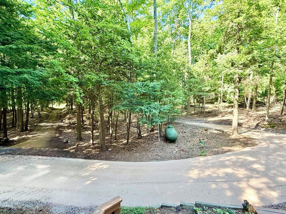 EXTERIOR:  The circular driveway for the home 
