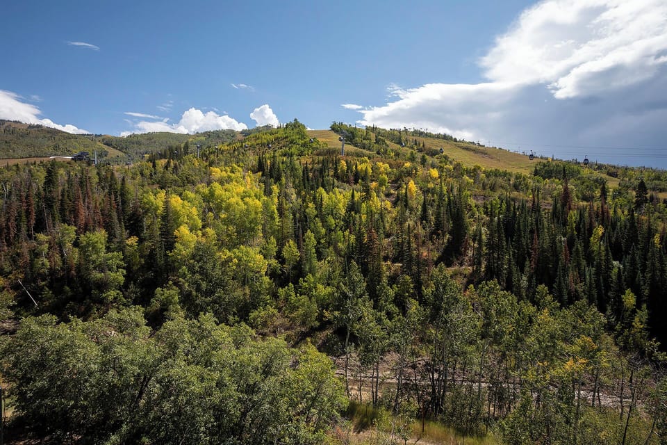 Stunning autumn landscape surrounds the property with vibrant golden aspens and rolling hills creating a picturesque mountain setting.
