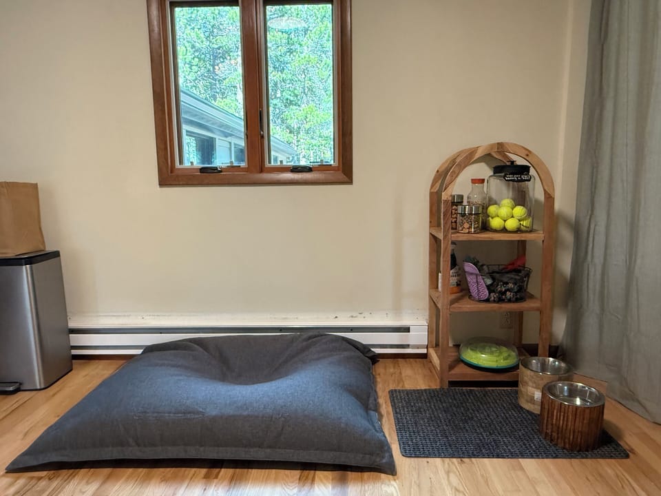 Pet-Friendly Corner: The Hound Lounge