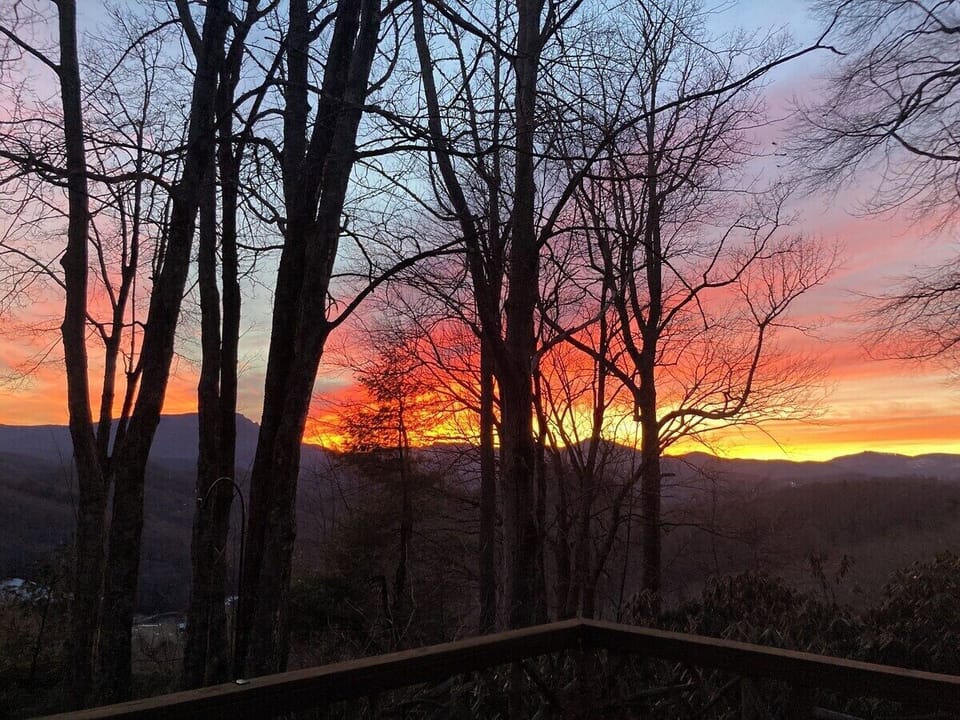 Spectacular fiery sunset views through the trees — nature at its finest.
