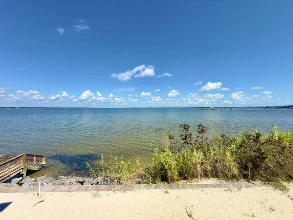 Pelican's Perch: Kayaks, Views & More!