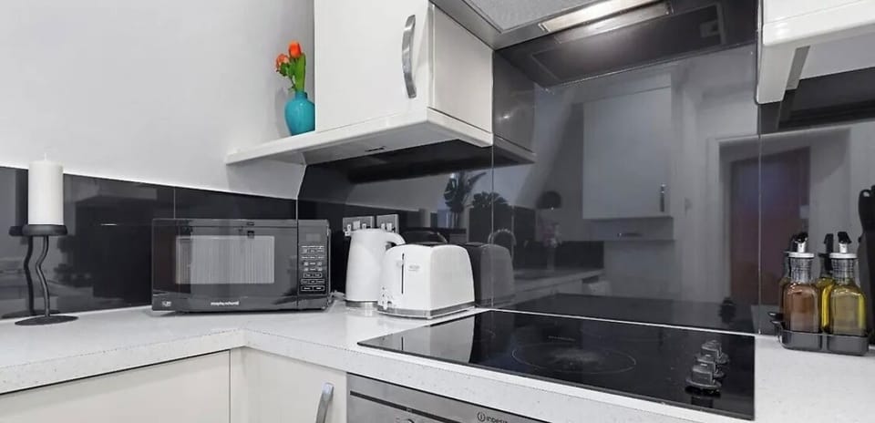 Deluxe Apartment, City View | Private kitchen | Full-size fridge, microwave, oven, stovetop