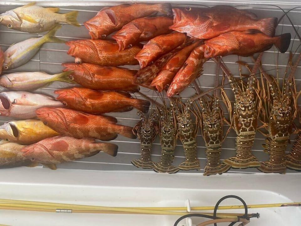Beach BBQ inspiration: a fresh local catch prepared island-style and enjoyed seaside. Experiences like this can be arranged independently during your stay in Belize.