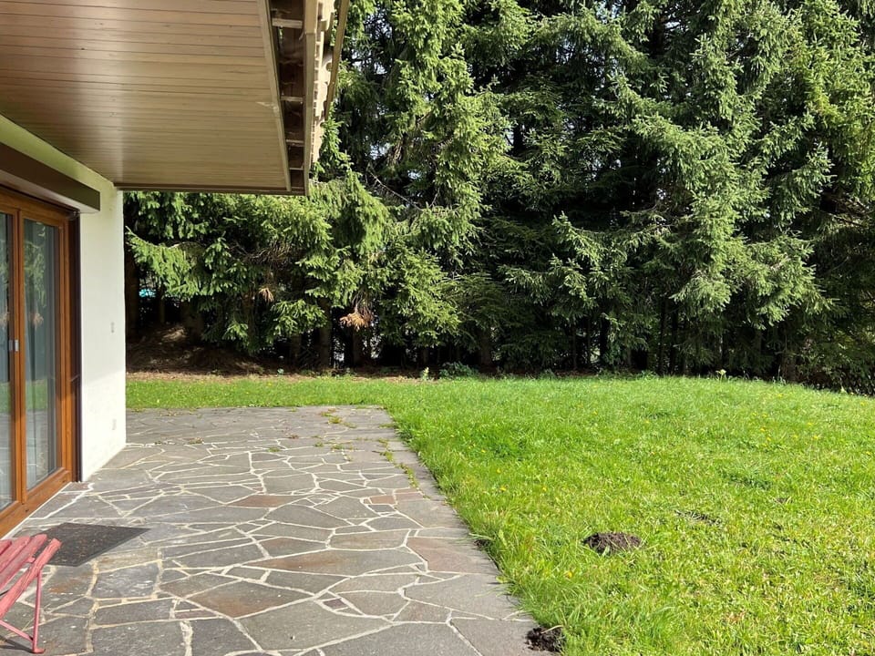 Flagstone, Groundcover, Shade, Garden, Lawn, Cobblestone, Walkway, Tile, Concrete, Yard