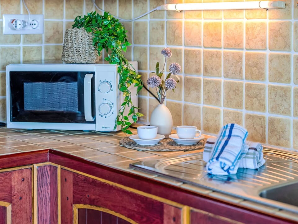 Kitchen Appliance, Kitchen, Major Appliance, Countertop, Small Appliance, Home Appliance, Interior Design, Room, Cabinetry, Tile