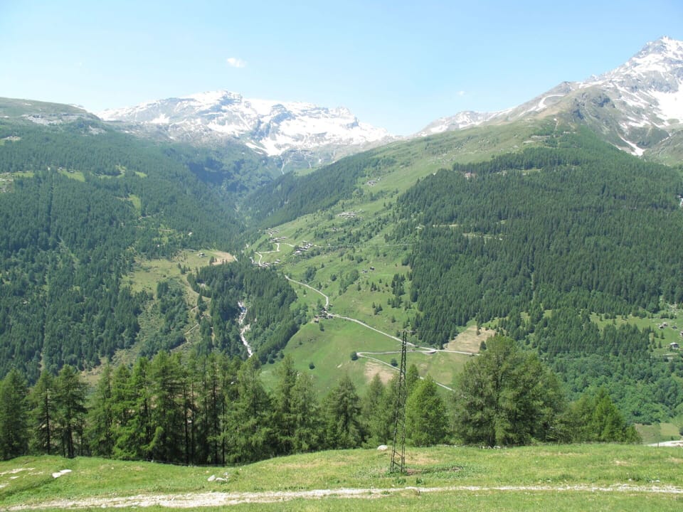 Chair, Outdoor Furniture, Yard, Balcony, Larch, Villa, Pine Family, Eco Hotel