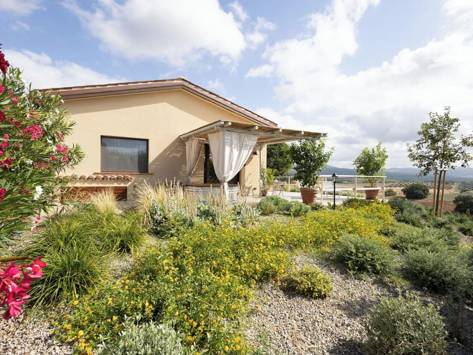 Shrub, Plant Community, Garden, Land Lot, Groundcover, Landscaping, Herbaceous Plant, Shrubland, Backyard