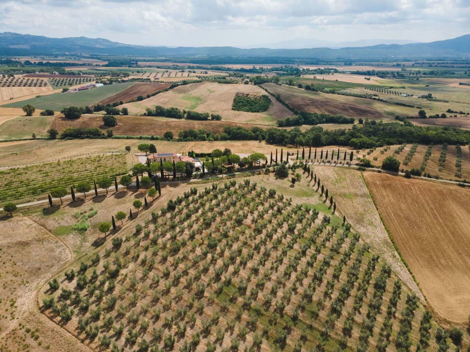 Plain, Landscape, Land Lot, Plantation, Field, Agriculture, Aerial Photography, Bird'S-Eye View, Farm, Soil