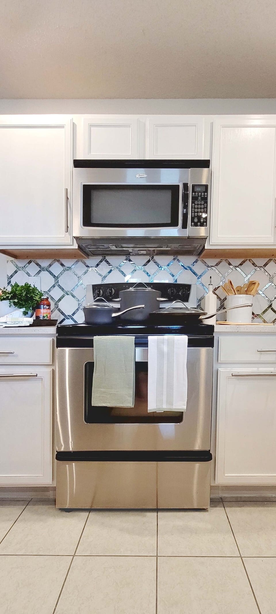 Electric stove, oven, microwave and dishwasher