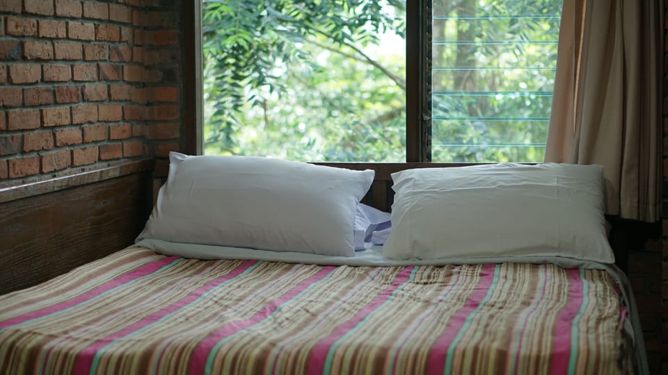 Deluxe Double Room, Garden View | Desk, laptop workspace, free WiFi