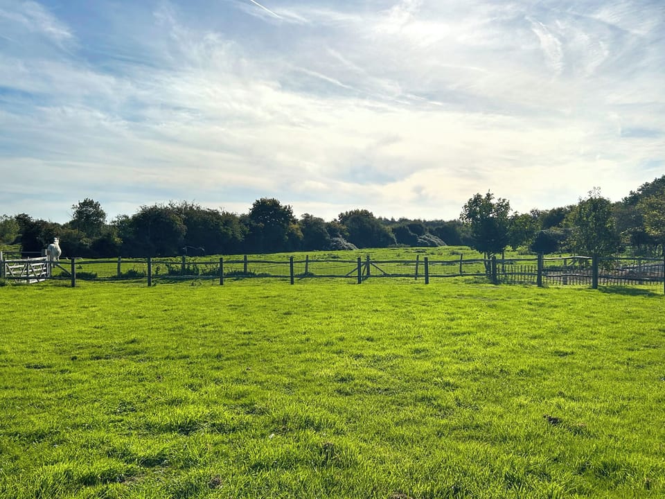 Surrounding area | The Cottage, Easthampnett near Chichester