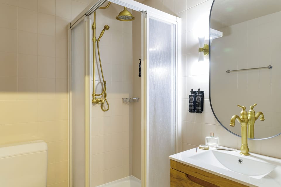 Hair dryer, towels, soap, shampoo