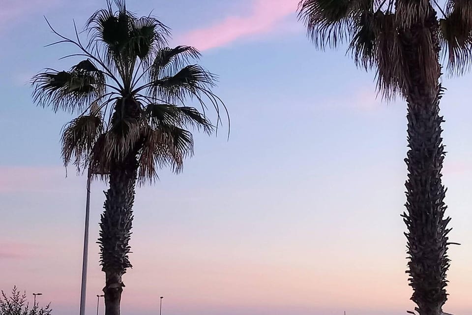 Immediate Surroundings [summer] (<1 km)