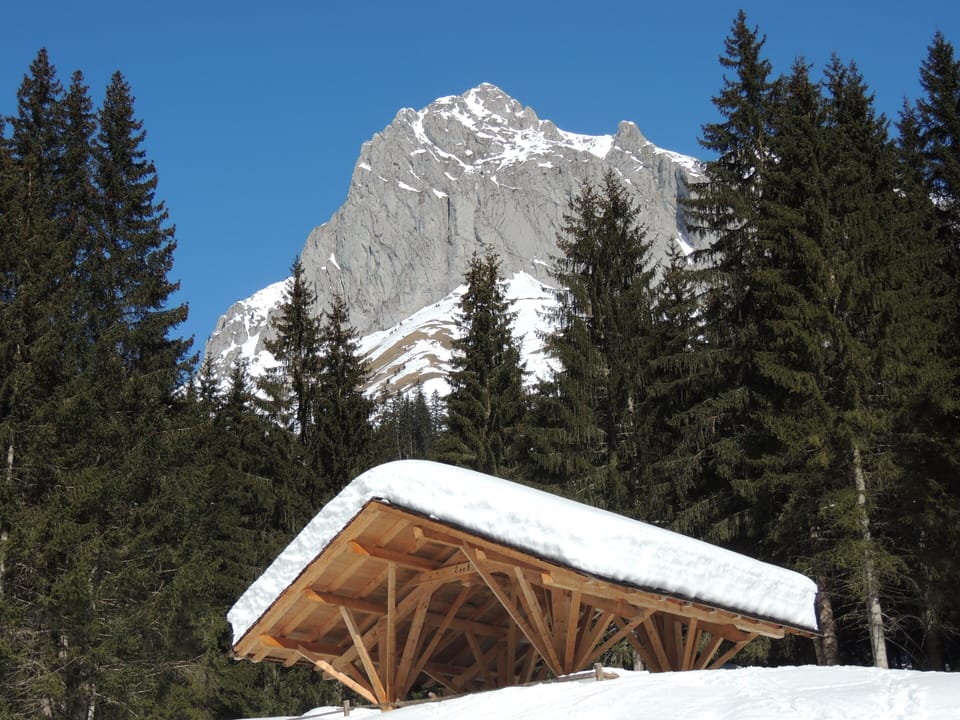 Snowshoeing