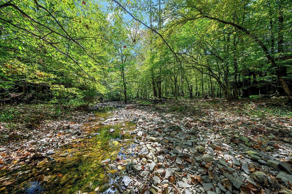 Enjoy a leisurely stroll to the backyard creek & take in the sounds of nature​