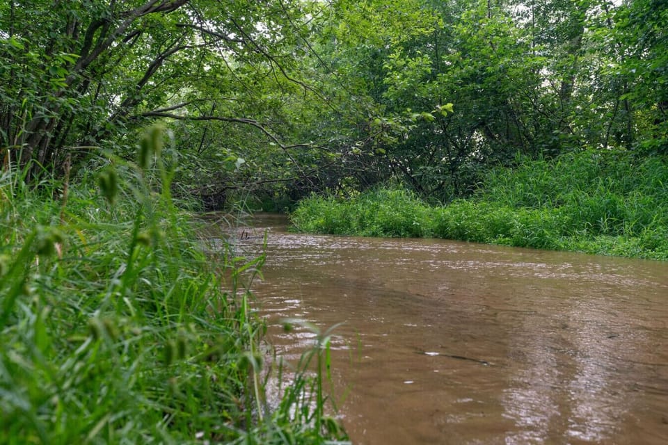 Coldwater Creek