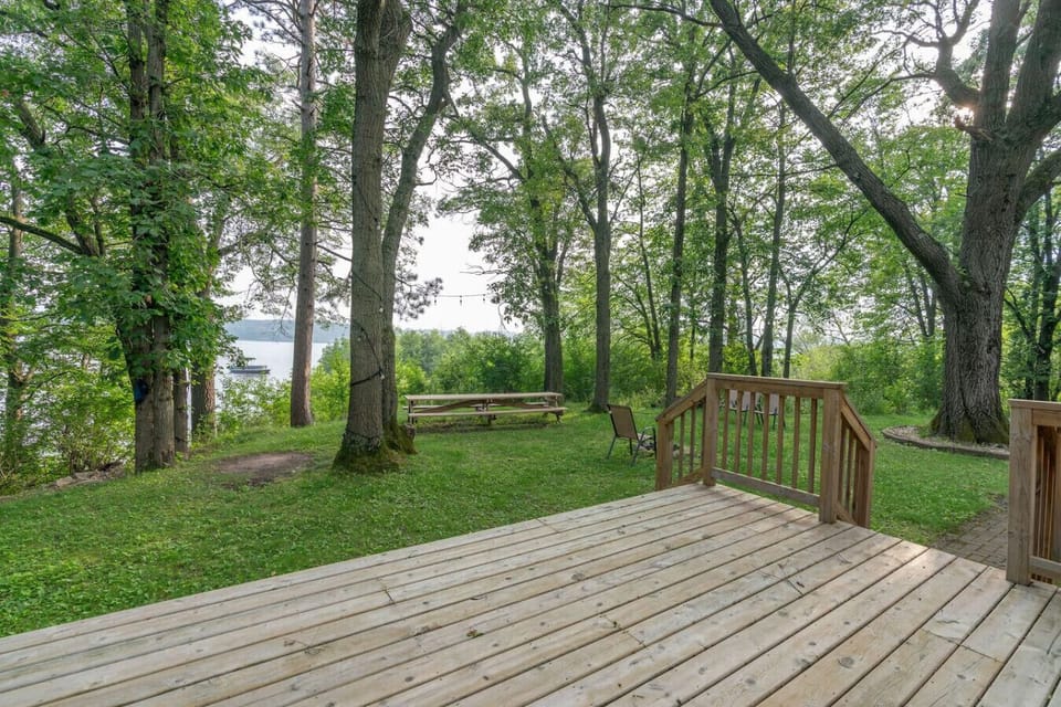 Deck and backyard
