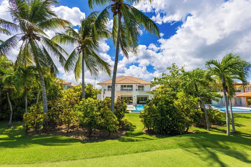 Palm views and blue skies, Punta Cana life.