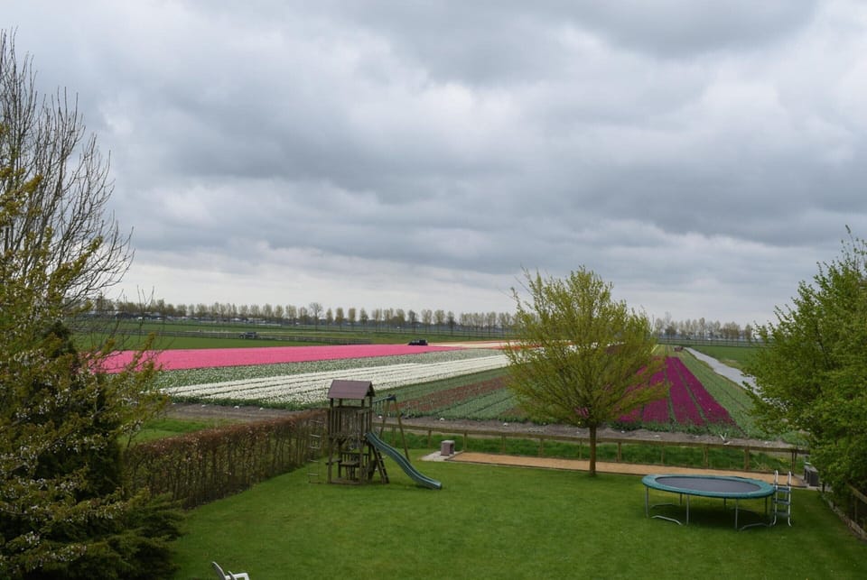 House | Garden