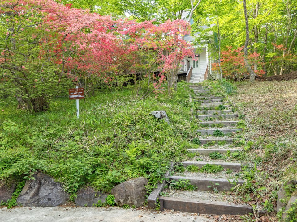 Superior Villa, Patio, Garden View | Property grounds