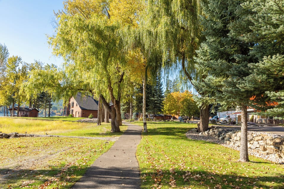 Beautiful walking trails for Montana adventures!