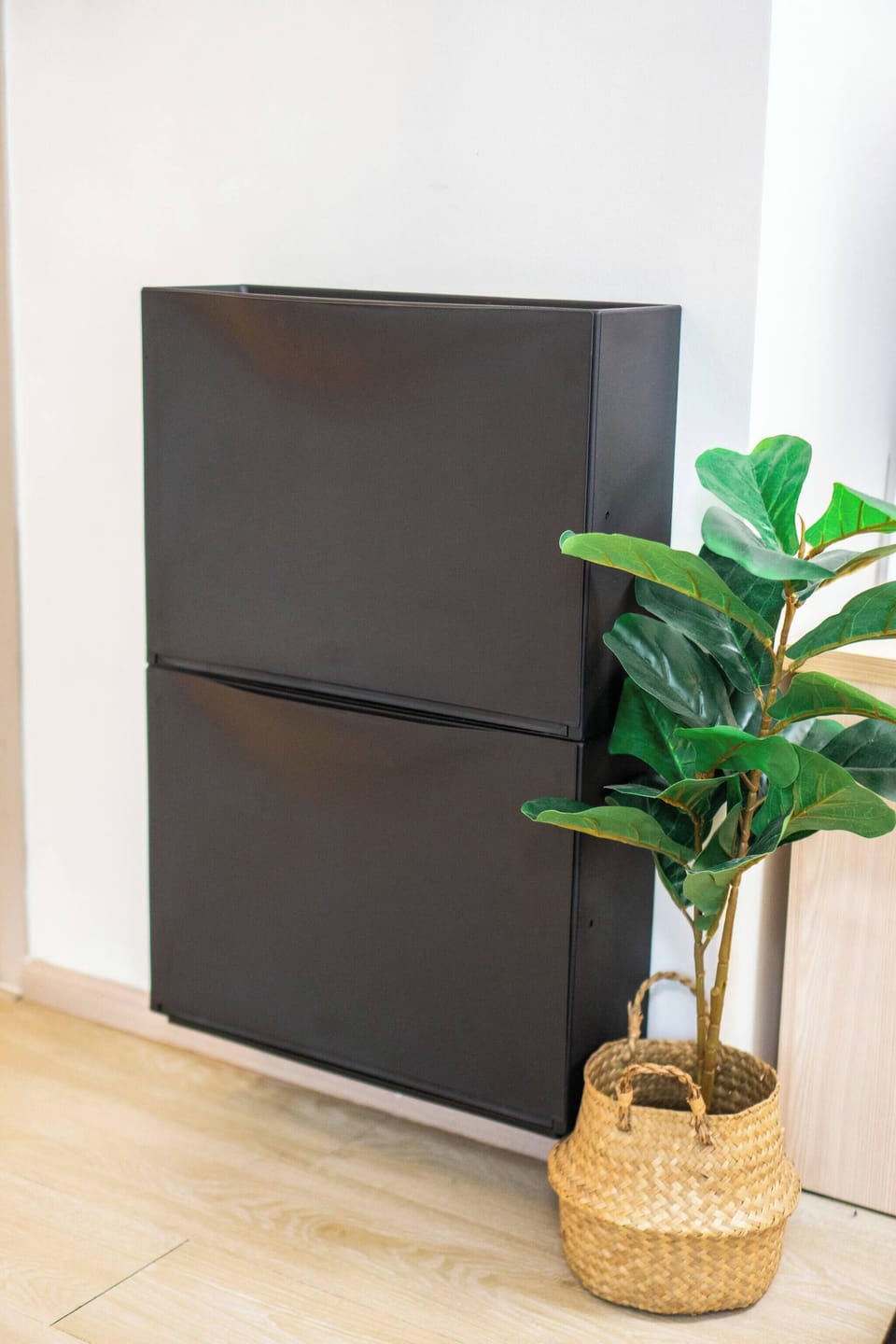 Studio, Accessible, Balcony | Interior