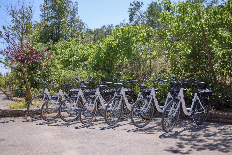 Bicycling