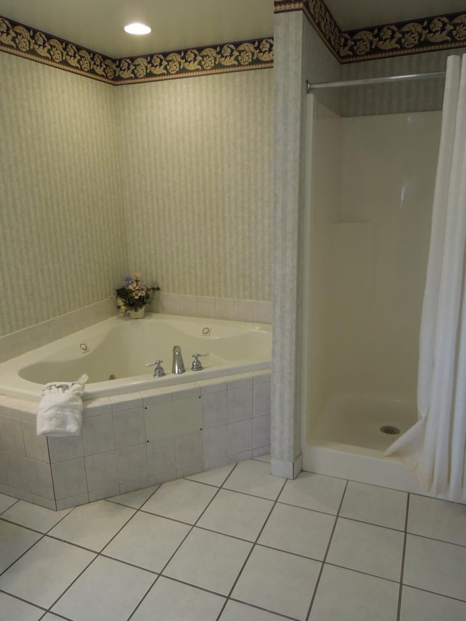 Combined shower/tub, free toiletries, hair dryer, towels