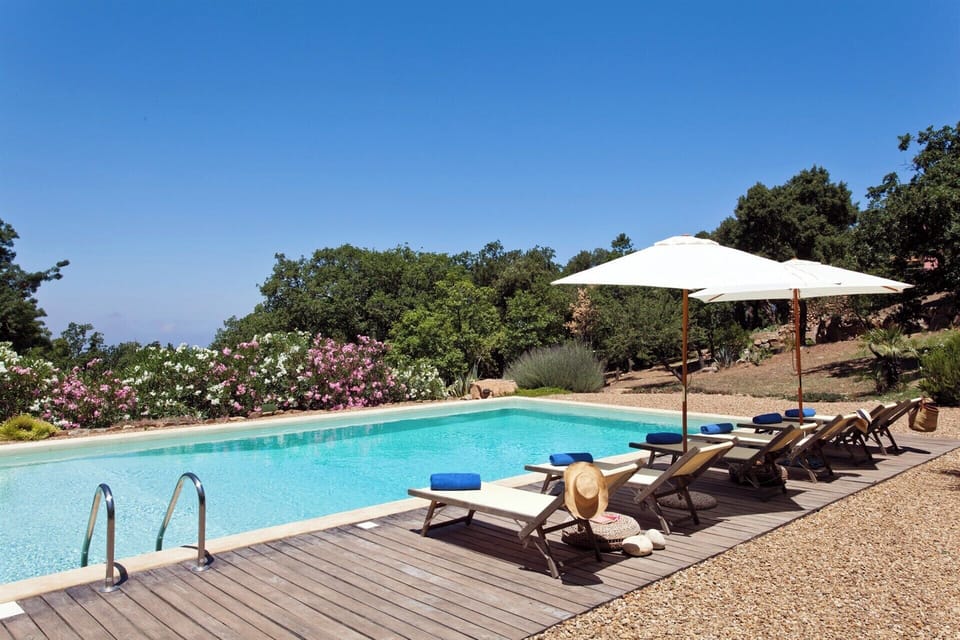 Loungers in the shade beside the pool.